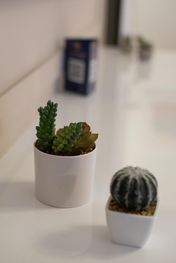 Medluxe Cozy Apartment! Athen Eksteriør billede