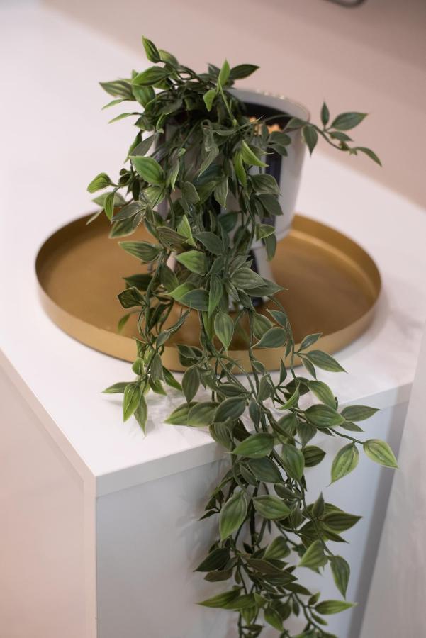 Medluxe Cozy Apartment! Athen Eksteriør billede